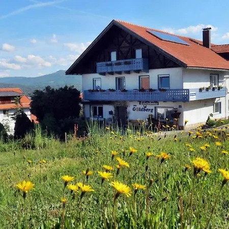 Guest house Gaestehaus Am Goldberg 3*